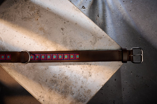 Obroża dla psa Easy Living