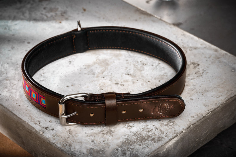 Obroża dla psa Easy Living