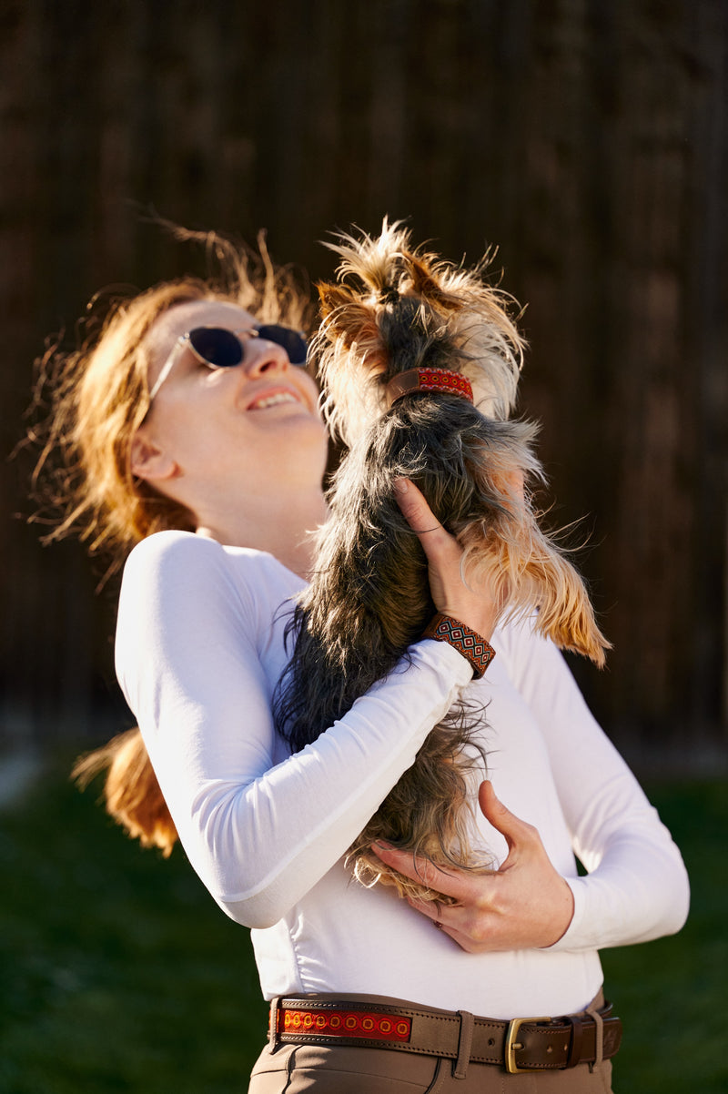 Obroża dla psa San Francisco Renaissance