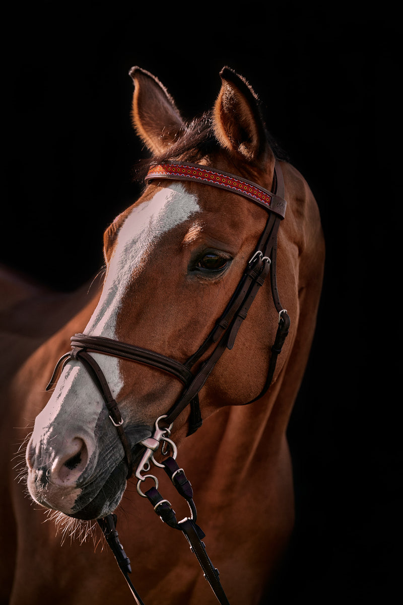 Naczółek dla konia San Francisco Renaissance