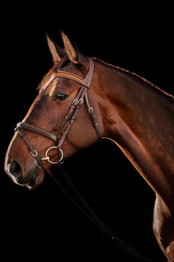 Naczółek dla koni Summer of Love